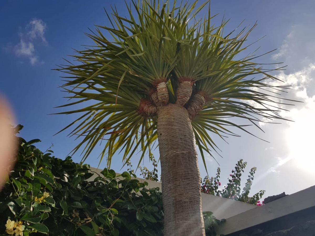 Fenix Villa *